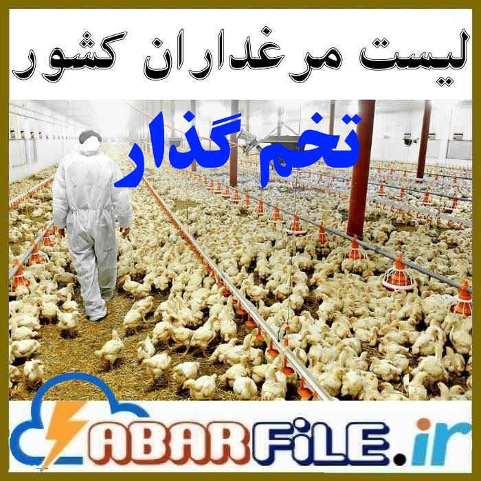 بانک شماره موبایل مرغداریهای تخم گذار کشور 📓