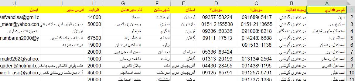 نمونه لیست بانک اطلاعات شماره موبایل