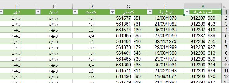 شماره موبایل بانوان اردبیل به تفکیک سن و کدپستی